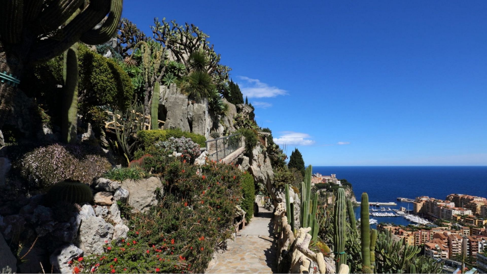 Jardin Exotique de Monaco (Image via Jardin Exotique)