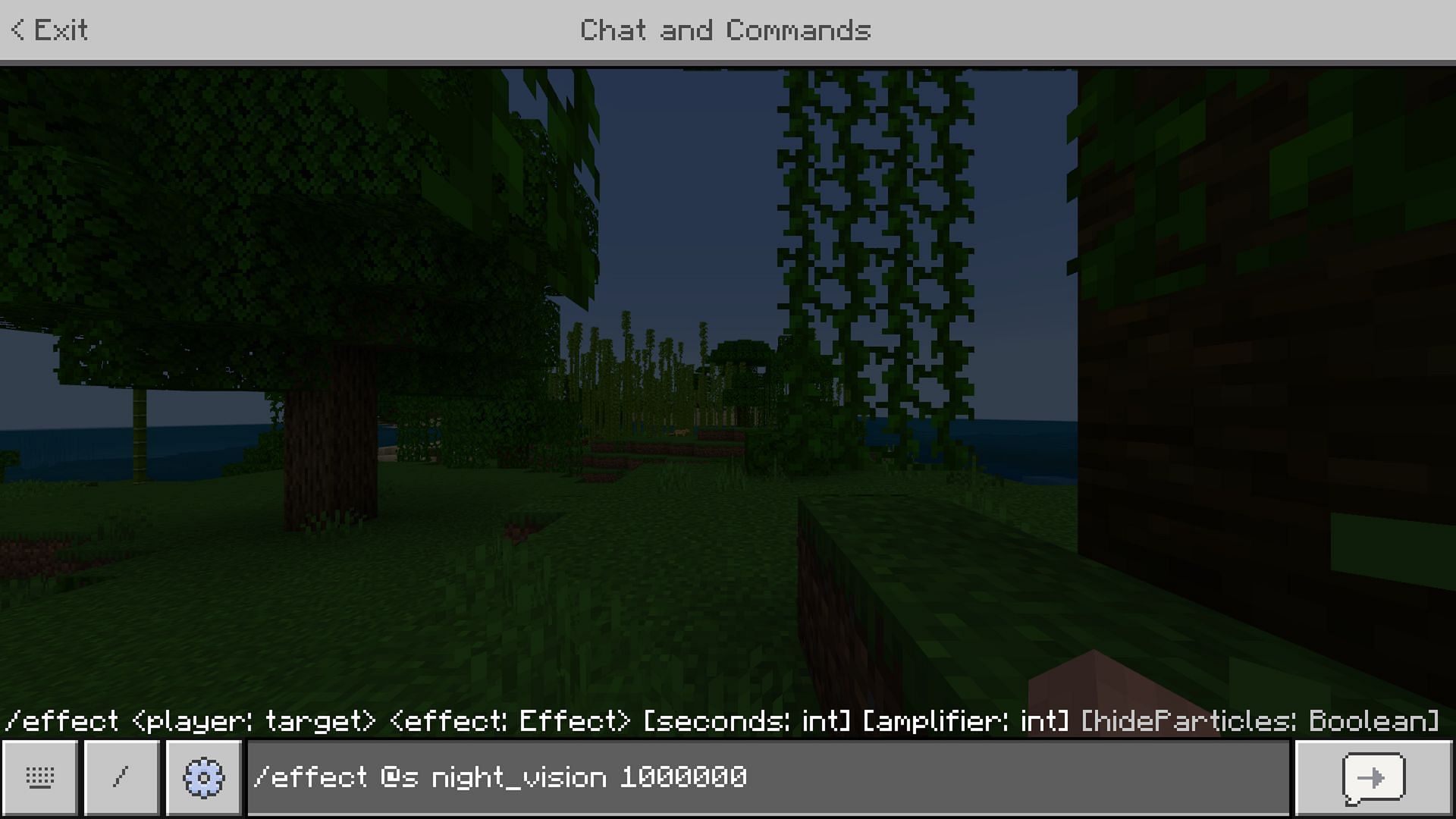 Bedrock Edition&#039;s Night Vision command comes with a maximum time limit (Image via Mojang)