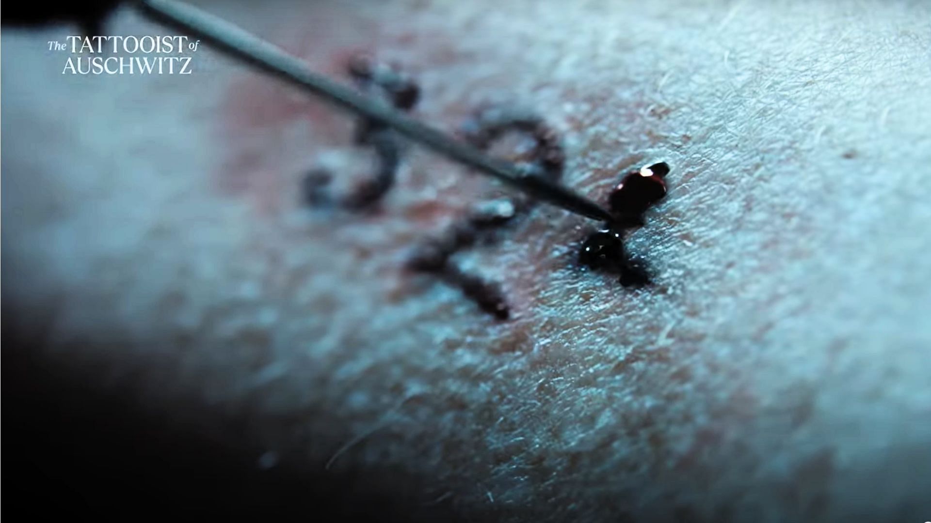 The Tattooist of Auschwitz is scheduled to release on May 2, 2024 (Image via Peacock)