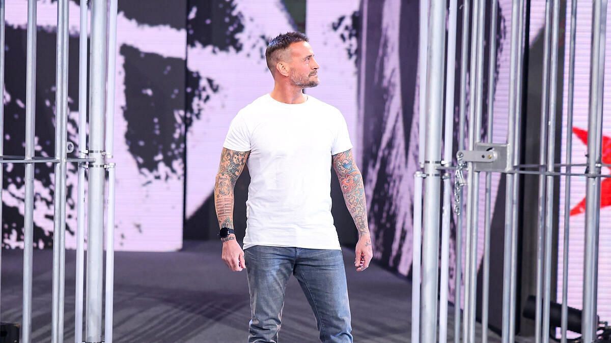 Current WWE superstar CM Punk (Photo credit: WWE.com)