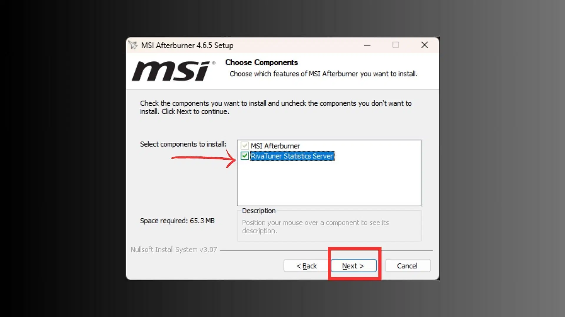 Tick &quot;RivaTuner Statistics Server&quot; to install RivaTuner. (Image via MSI)