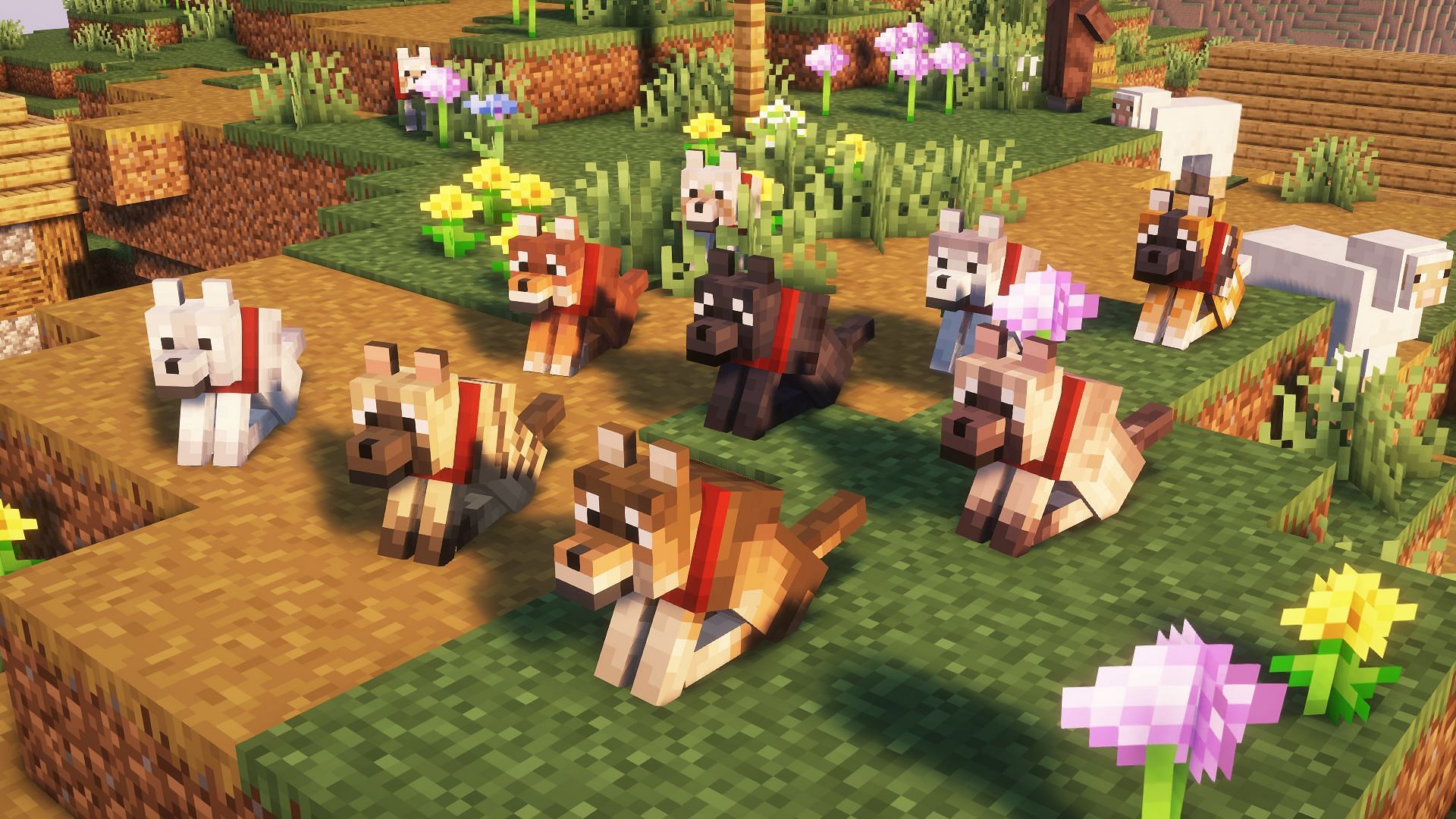 Ranking every Minecraft wolf variant based on their rarity