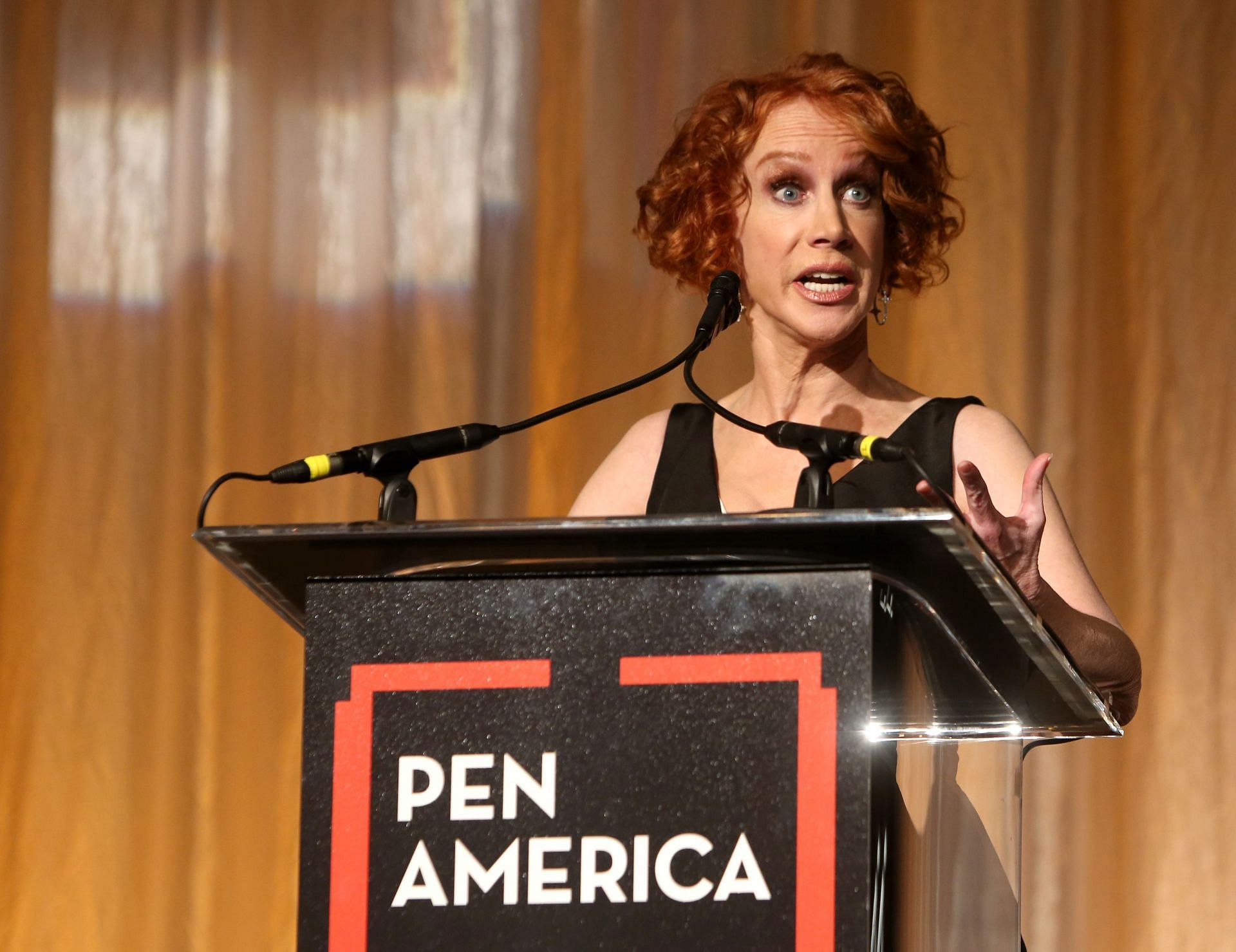 29th Annual PEN America LitFestGala