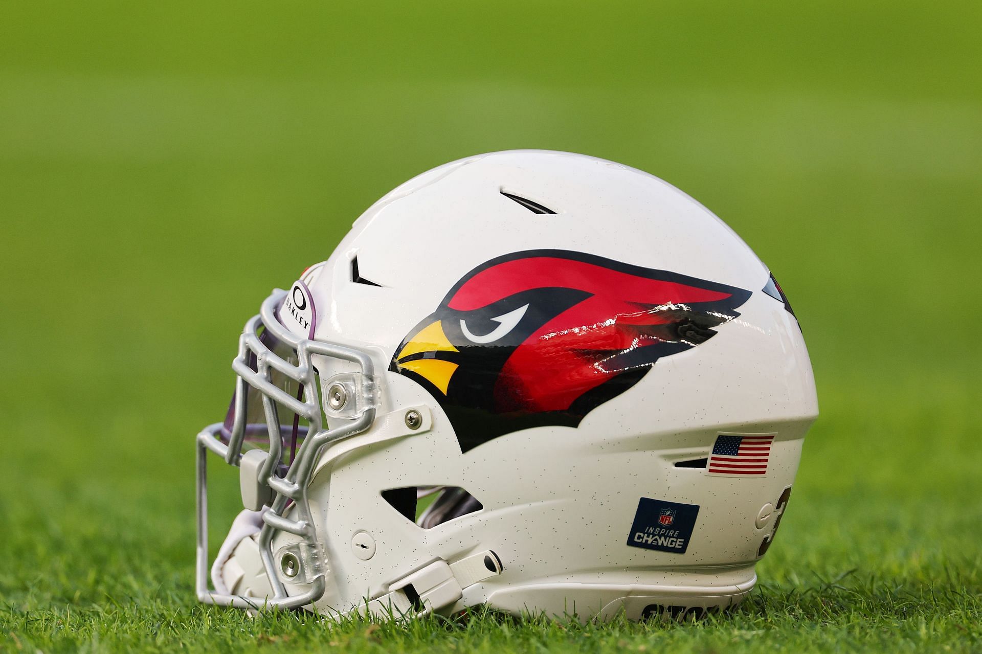 Arizona Cardinals v Chicago Bears