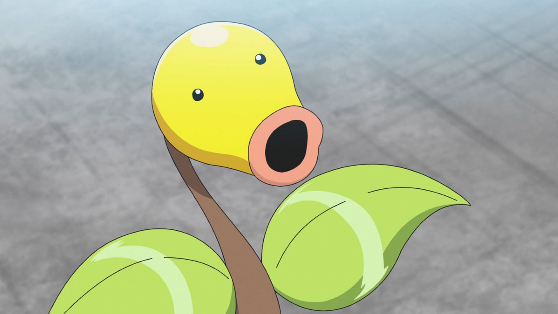 Bellsprout is the Pokedle Classic answer for April 8, 2024 (Image via The Pokemon Company); Aerodactyl was the Pokedle Classic answer on April 3, 2024 (Image via The Pokemon Company)