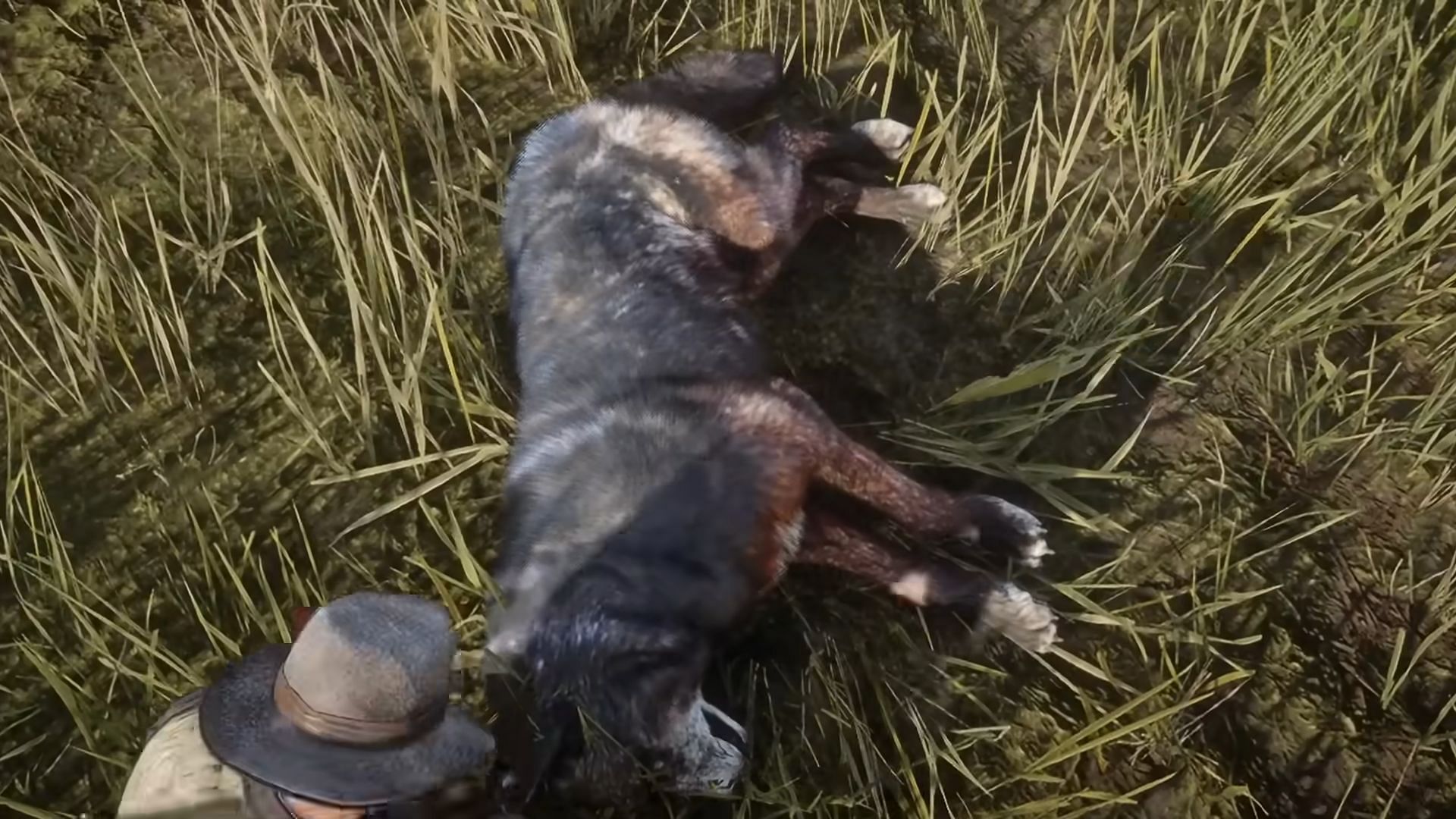 The Legendary Wolf might sneak up on you (Image via Rockstar Games || YouTube/Reptac)