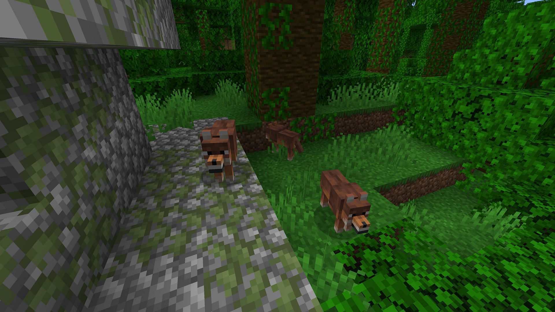Finding the wolf types will take players all around their survival worlds (Image via Mojang)