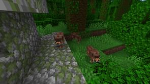 5 best things to do in Minecraft 1.20.5 update