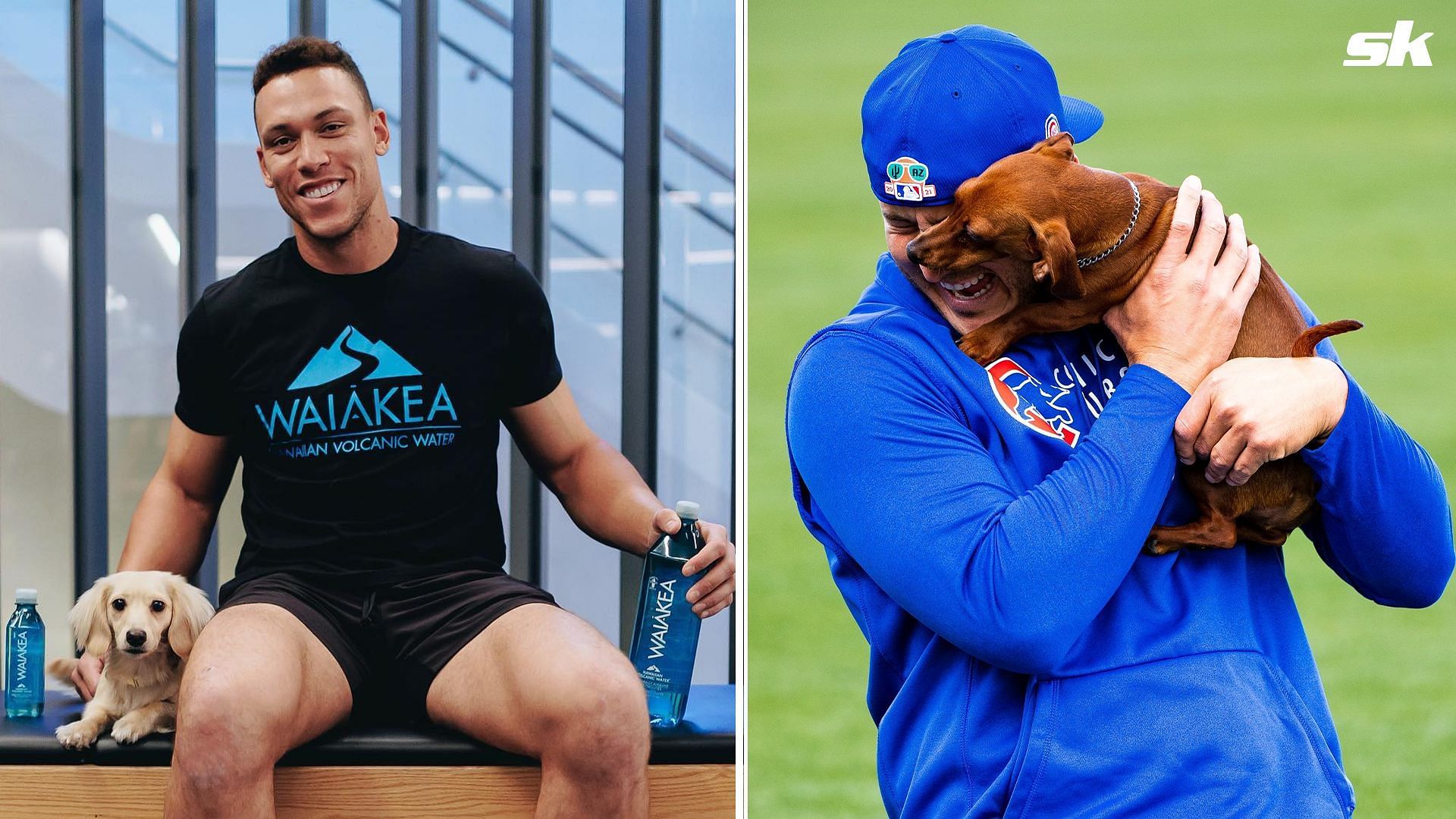 Aaron Judge and Anthony Rizzo with their pup dachshunds