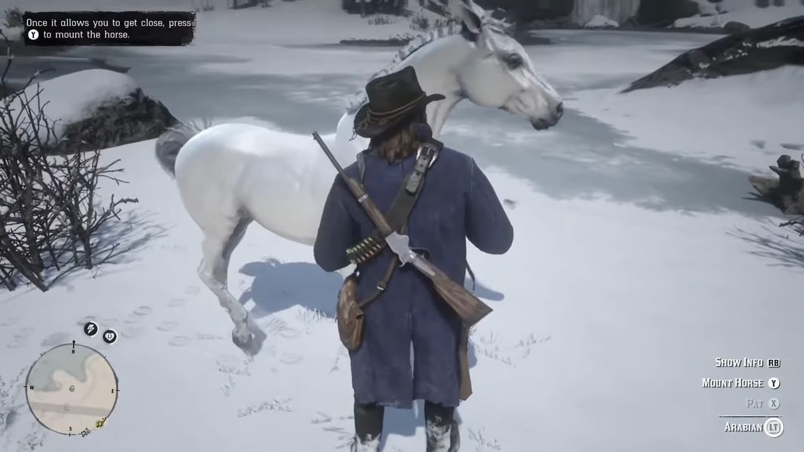 How to find and tame the White Arabian Horse in Red Dead Redemption 2