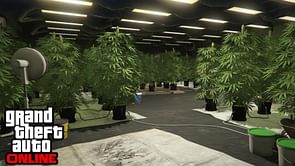 All Weed Farm locations in GTA Online in 2024