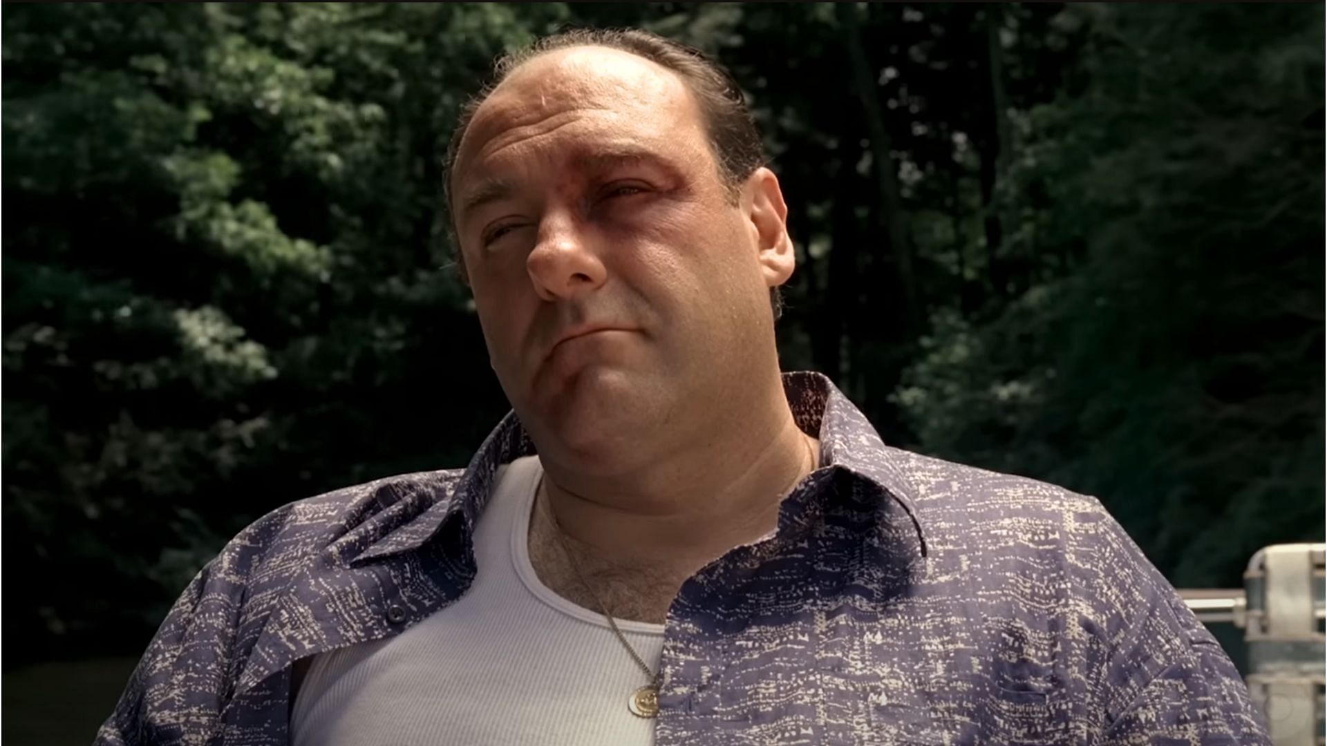 A scene from The Sopranos (Image via HBO UK)