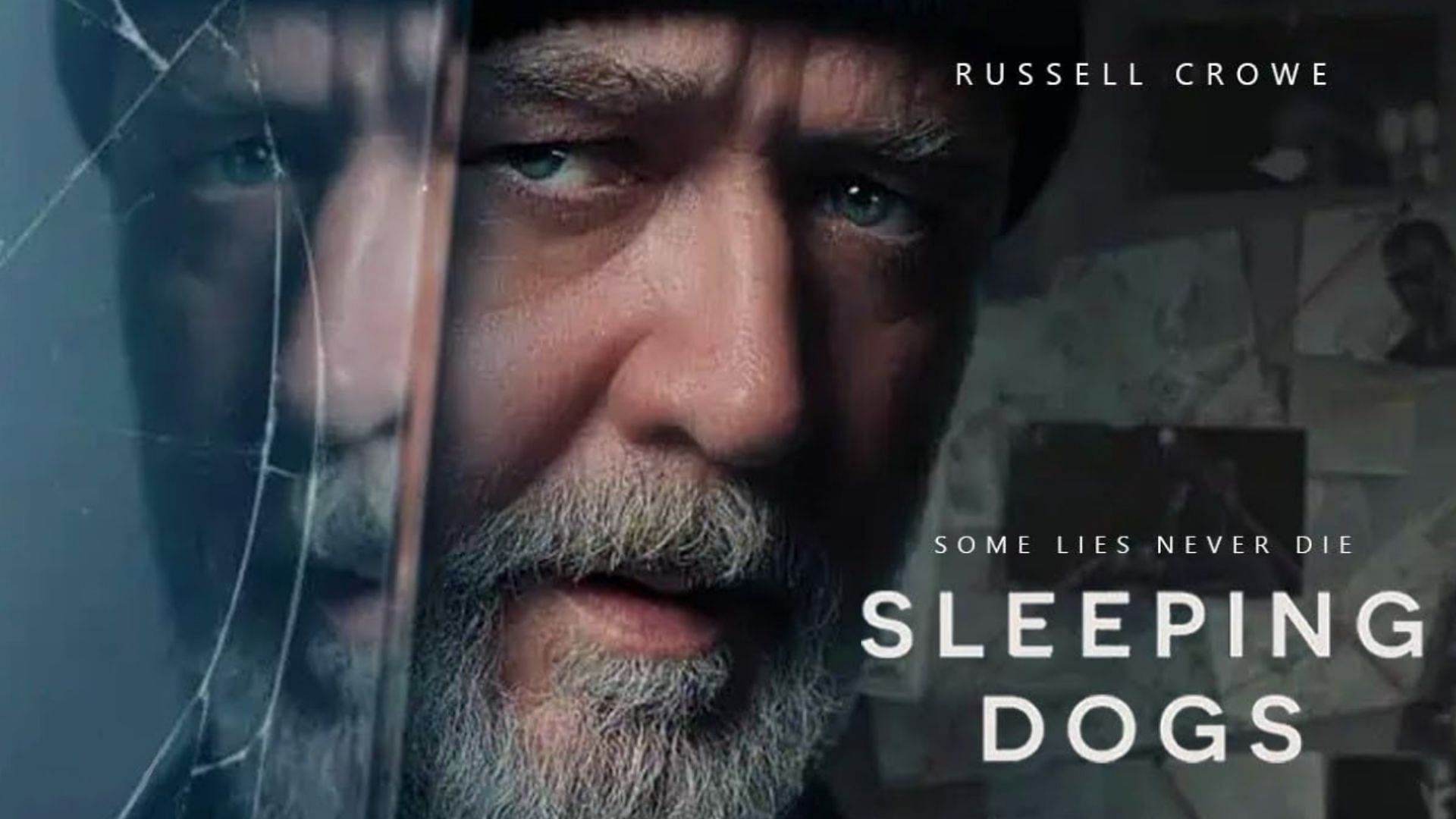 Cover image of Sleeping Dog (Image via IMDb)