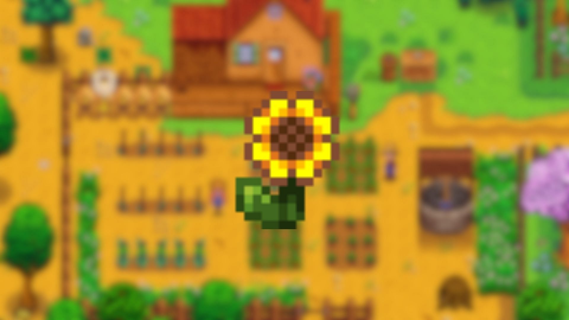 Sunflower in Stardew Valley (Image via ConcernedApe)