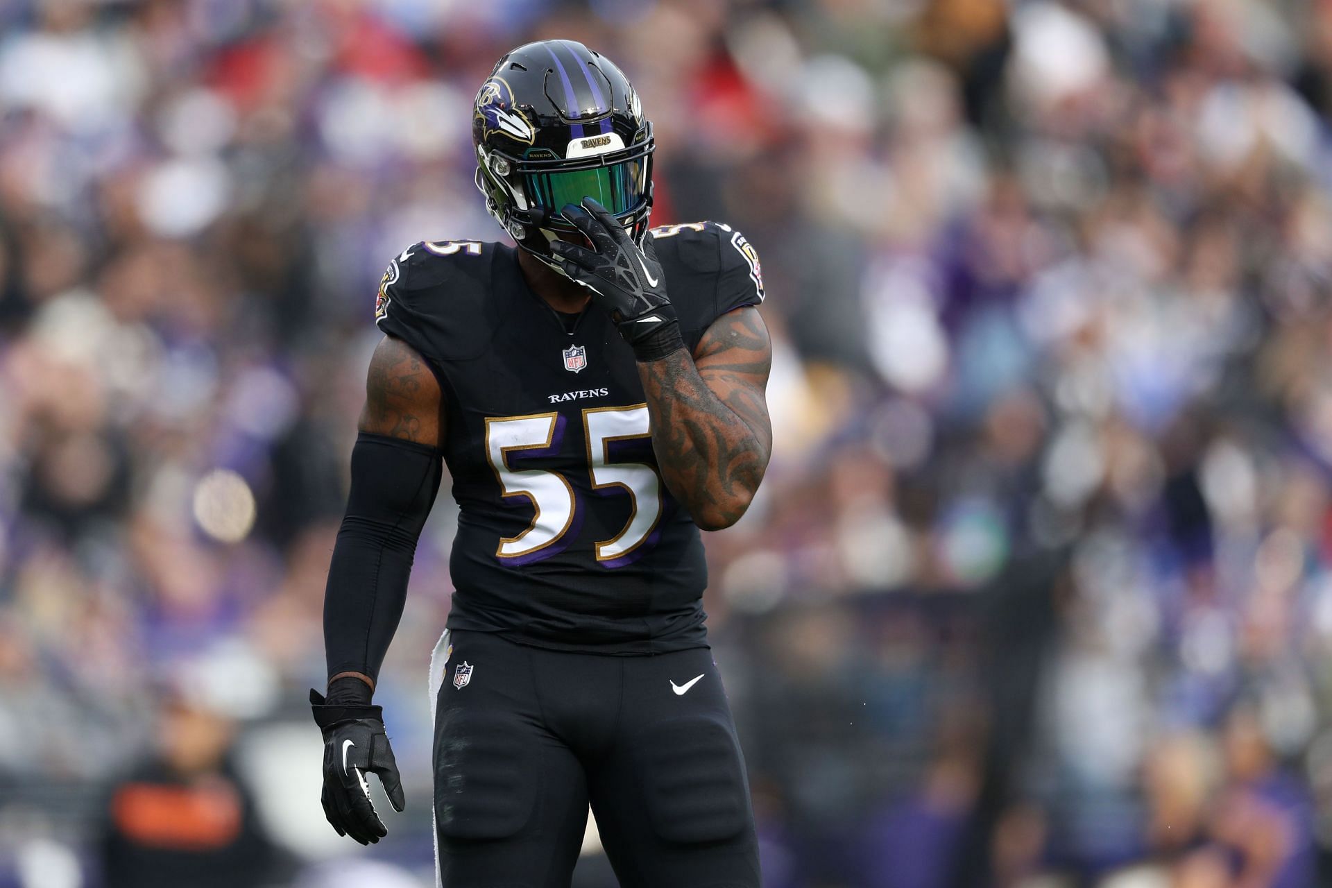 Former Baltimore Ravens OLB Terrell Suggs