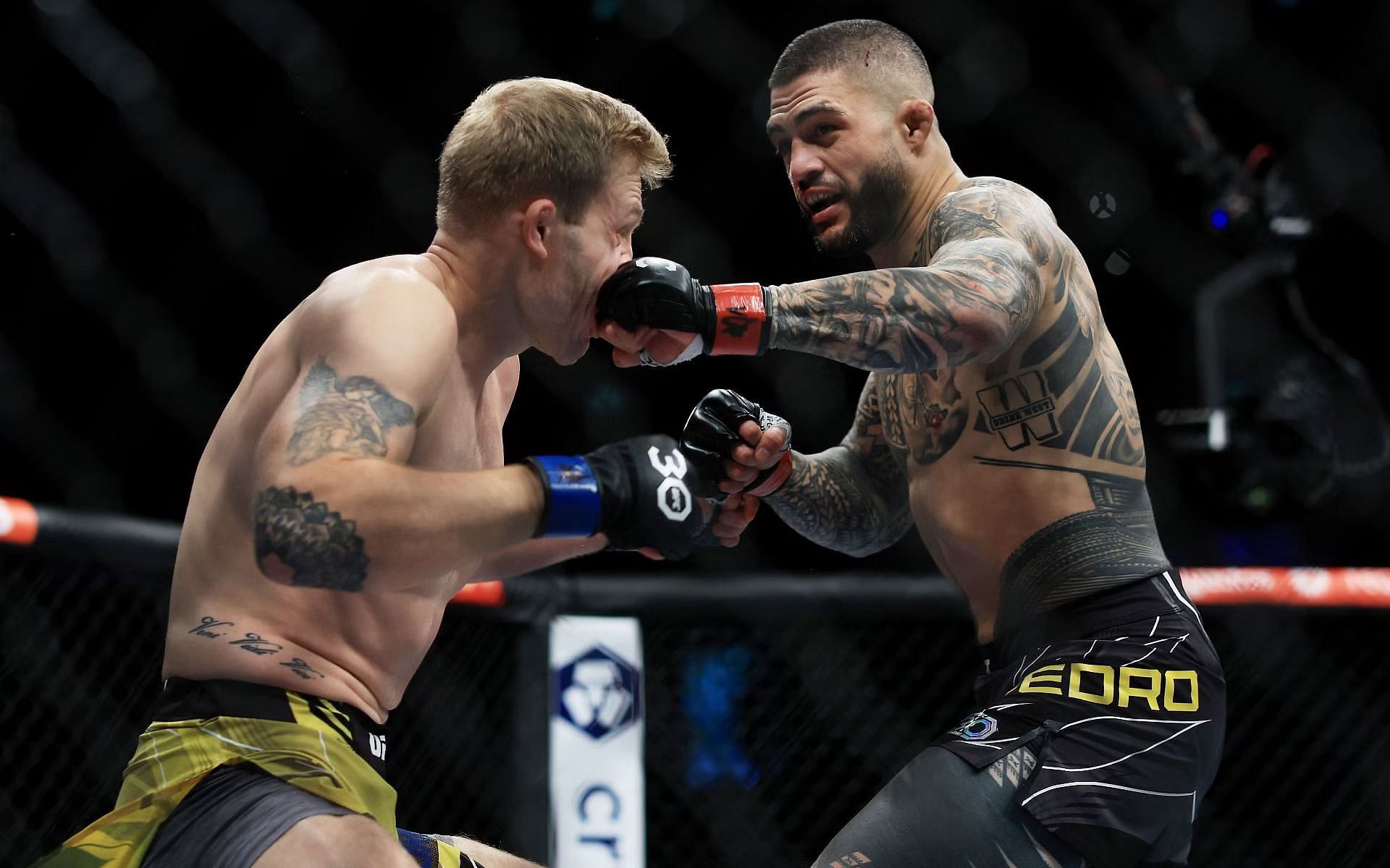 Anton Turkalj has not scored a win in the UFC [Image via Getty]