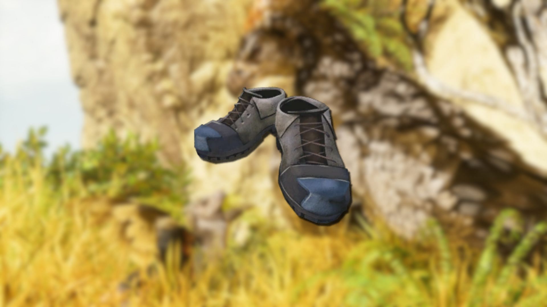 The Desert Cloth Boots (Image via Studio Wildcard)