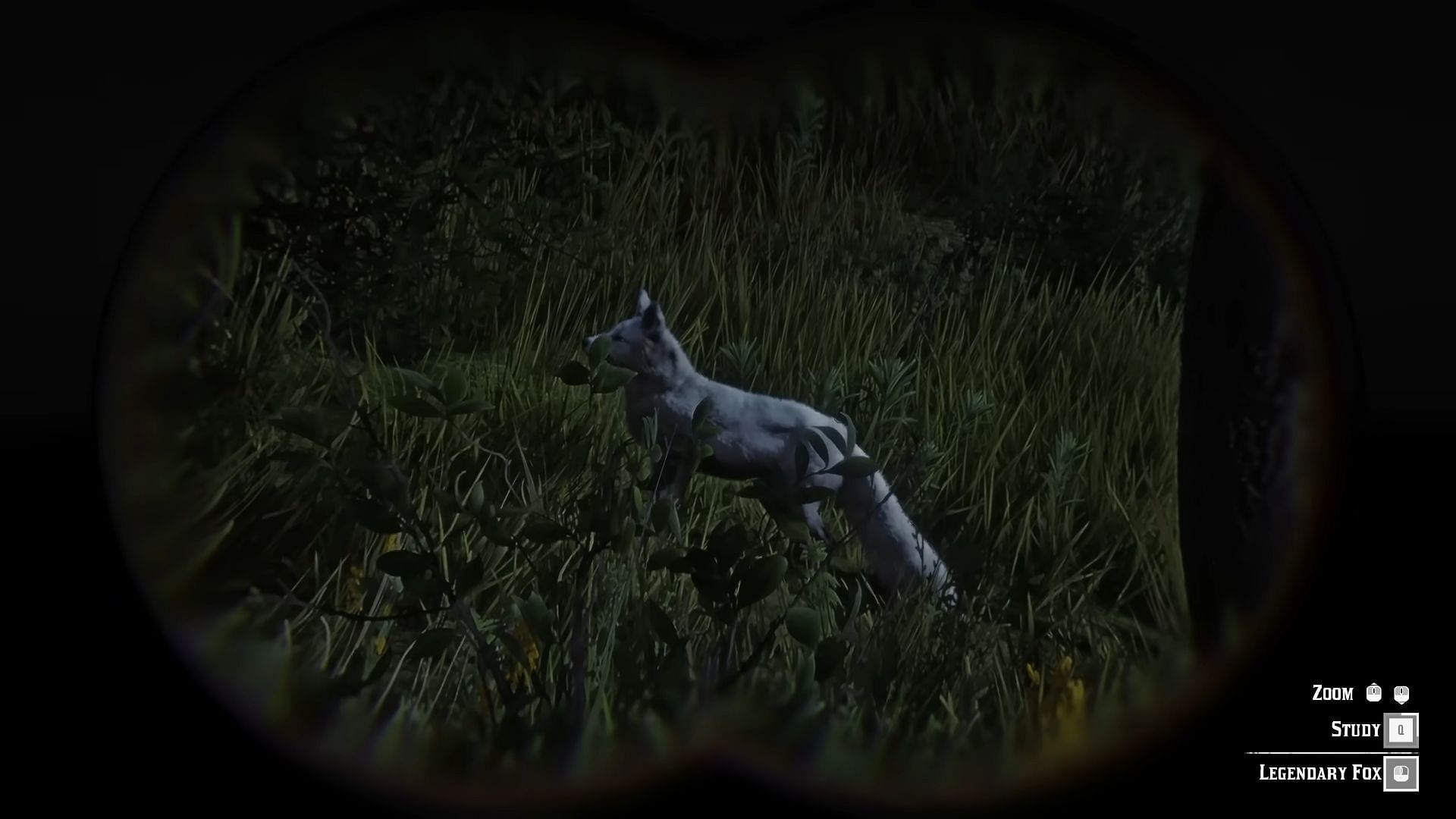 The Legendary Fox&#039;s fur is white as snow (Image via Rockstar Games || YouTube/Reptac)