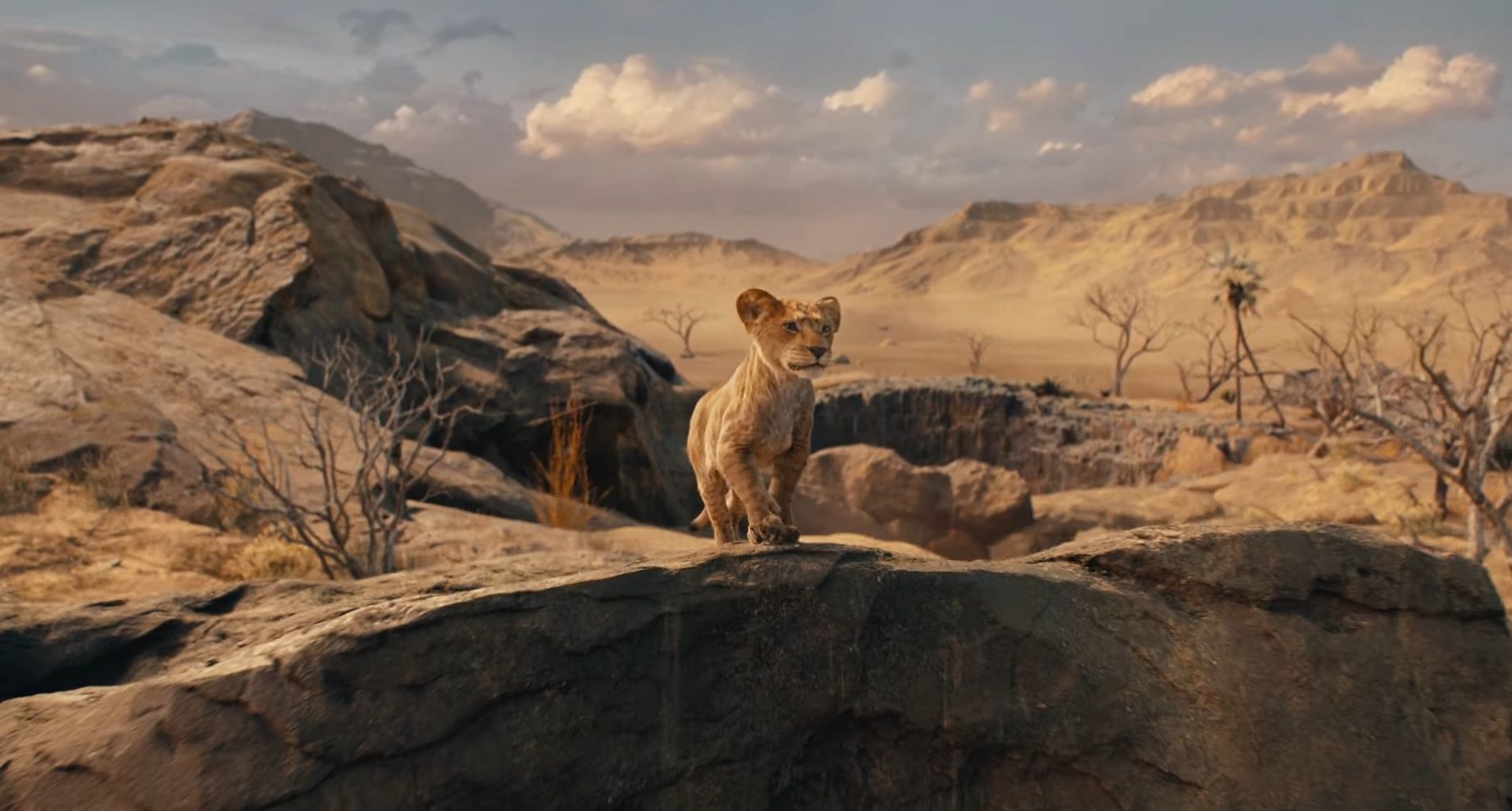 A look at young Mufasa (Image via YouTube/@Walt Disney Studios)