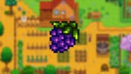 Grape in Stardew Valley (Image via ConcernedApe)