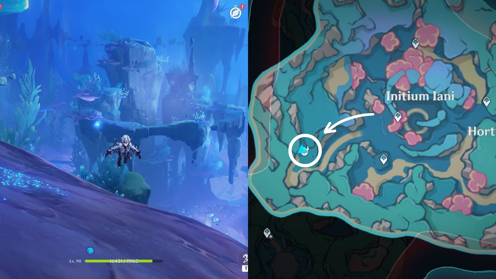 The first location is on top of Coral Reef (Image via HoYoverse)