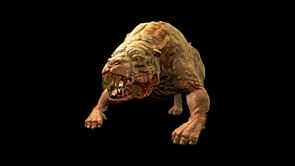 Where to find Mutant Hound in Fallout 76