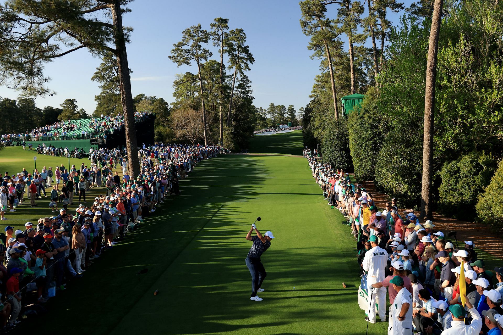 Masters 2024 Golfers Cut Cynde Dorella