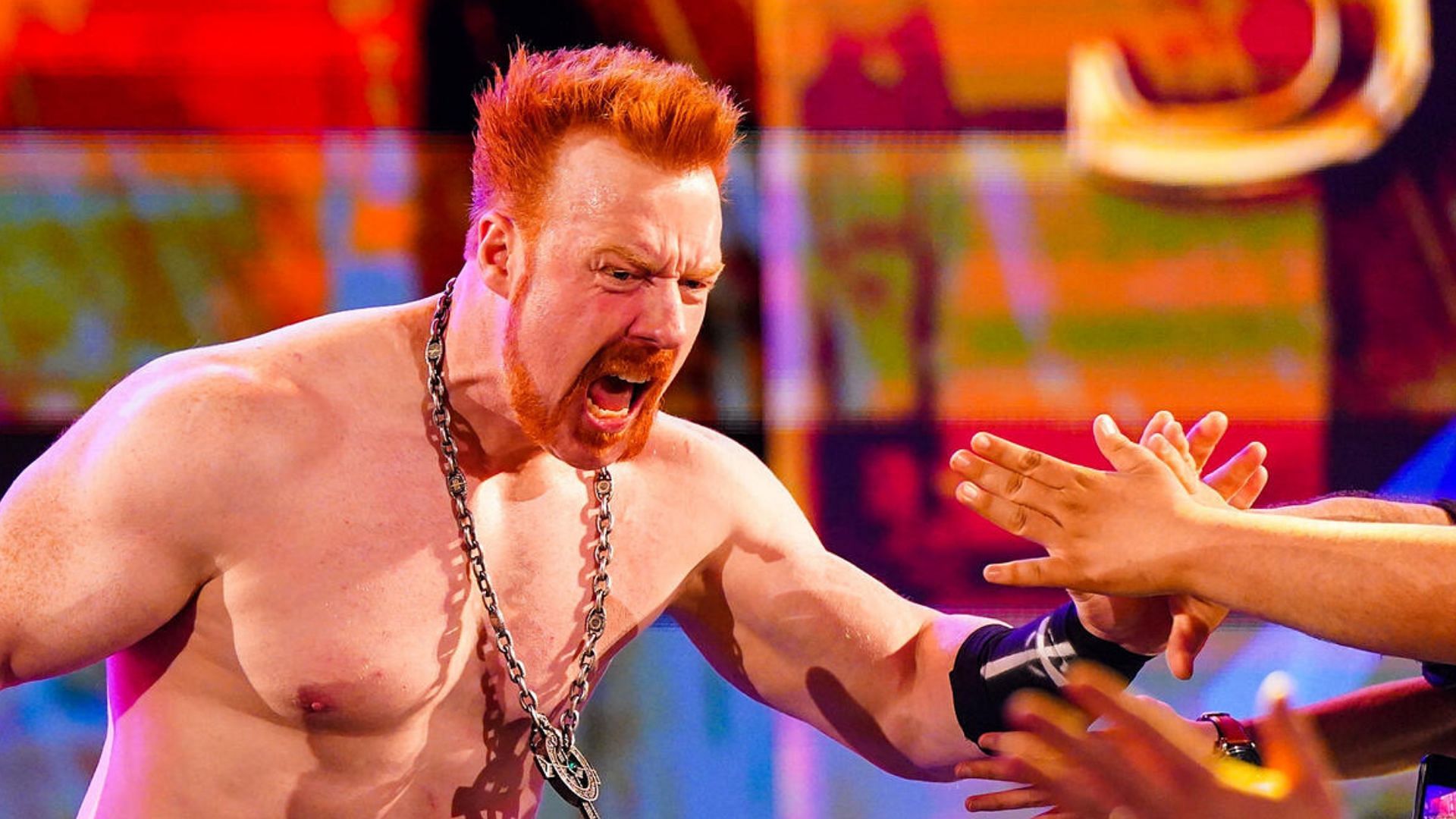 Sheamus returned to WWE after eight months!