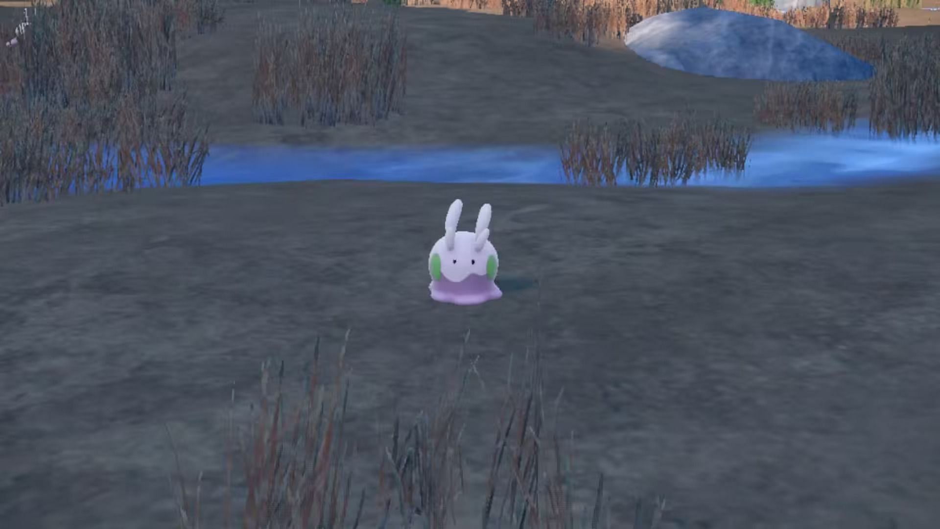 Goomy (Image via The Pokemon Company)