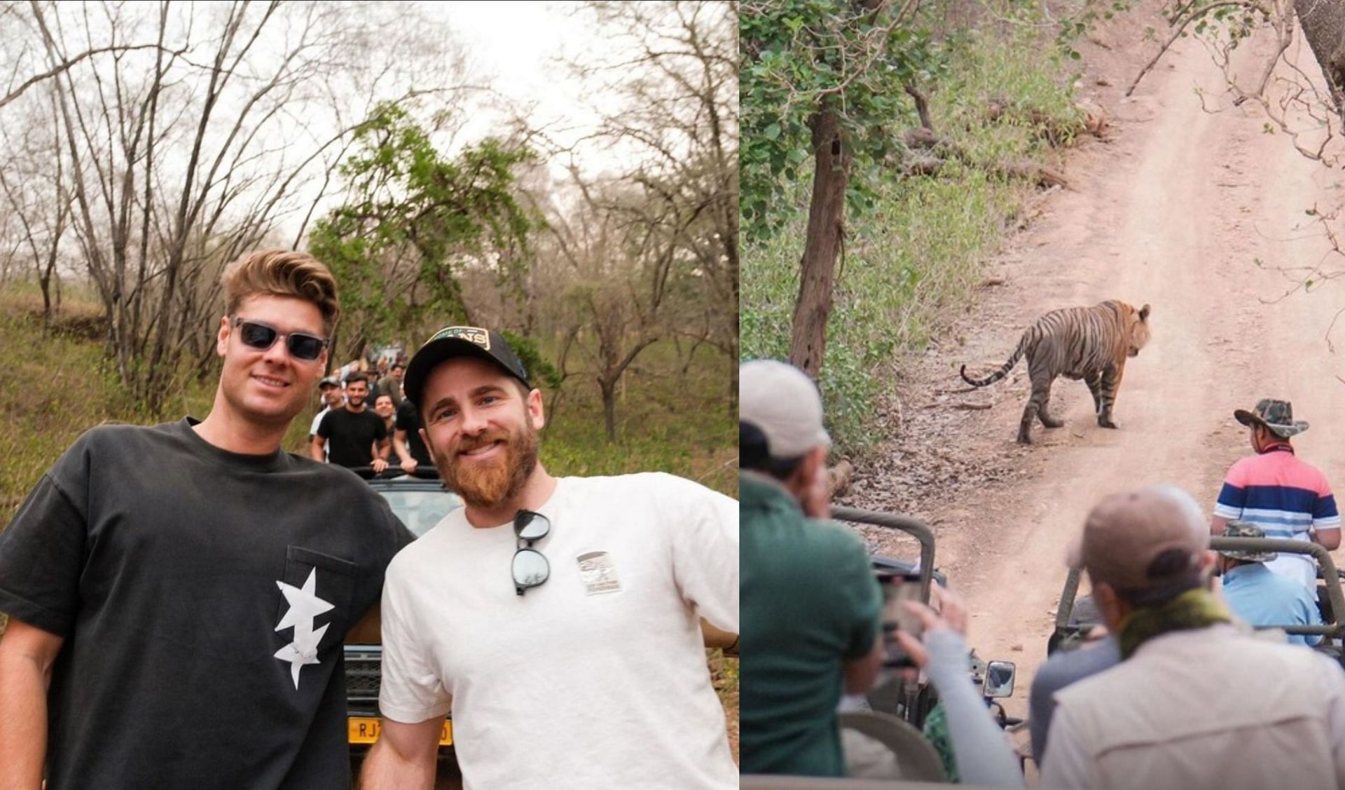 Kane Williamson with his GT teammates at Ranthambore National Park.  
