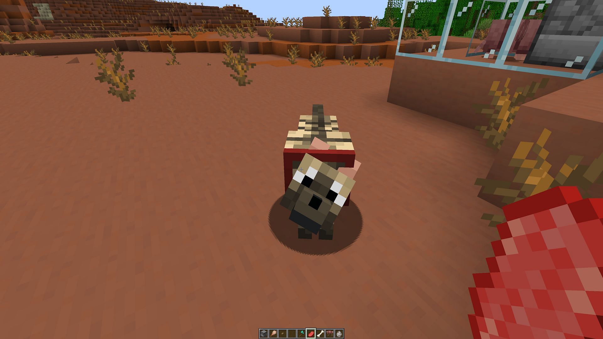 Wolves will take much less food to keep healthy due to 1.20.80 (Image via Mojang)