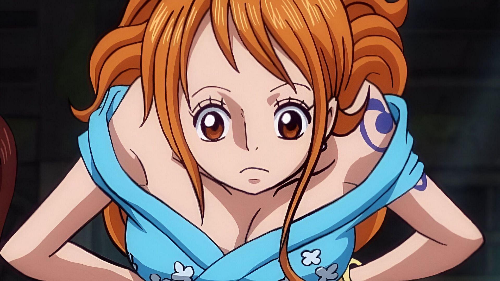 How unnecessary fan service ruined One Piece anime, explored (Image via Toei Animation)