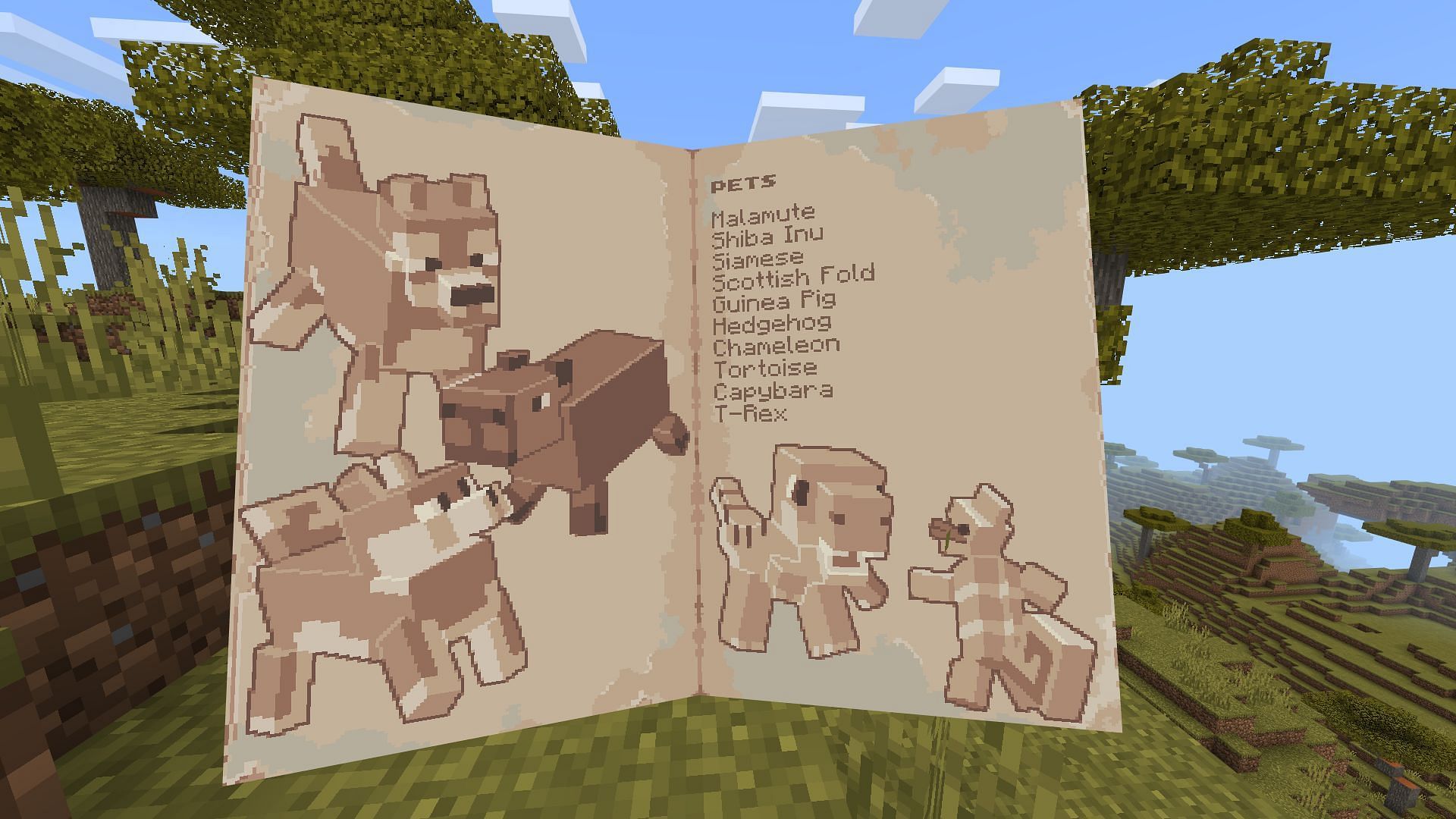 Introduction book for Spark Pets add-on (Image via Mojang Studios)