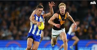 North Melbourne Kangaroos vs Hawthorn Hawks: Who won the AFL round 6 clash?