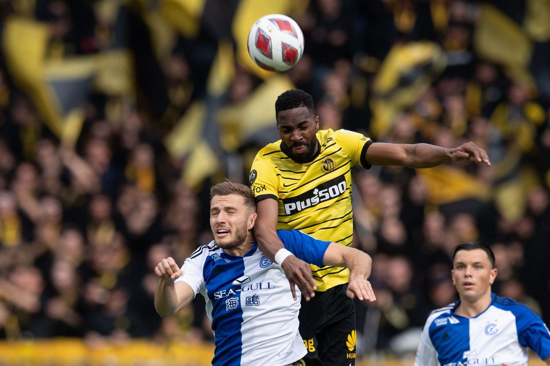 Young Boys have already beaten Zurich twice this season
