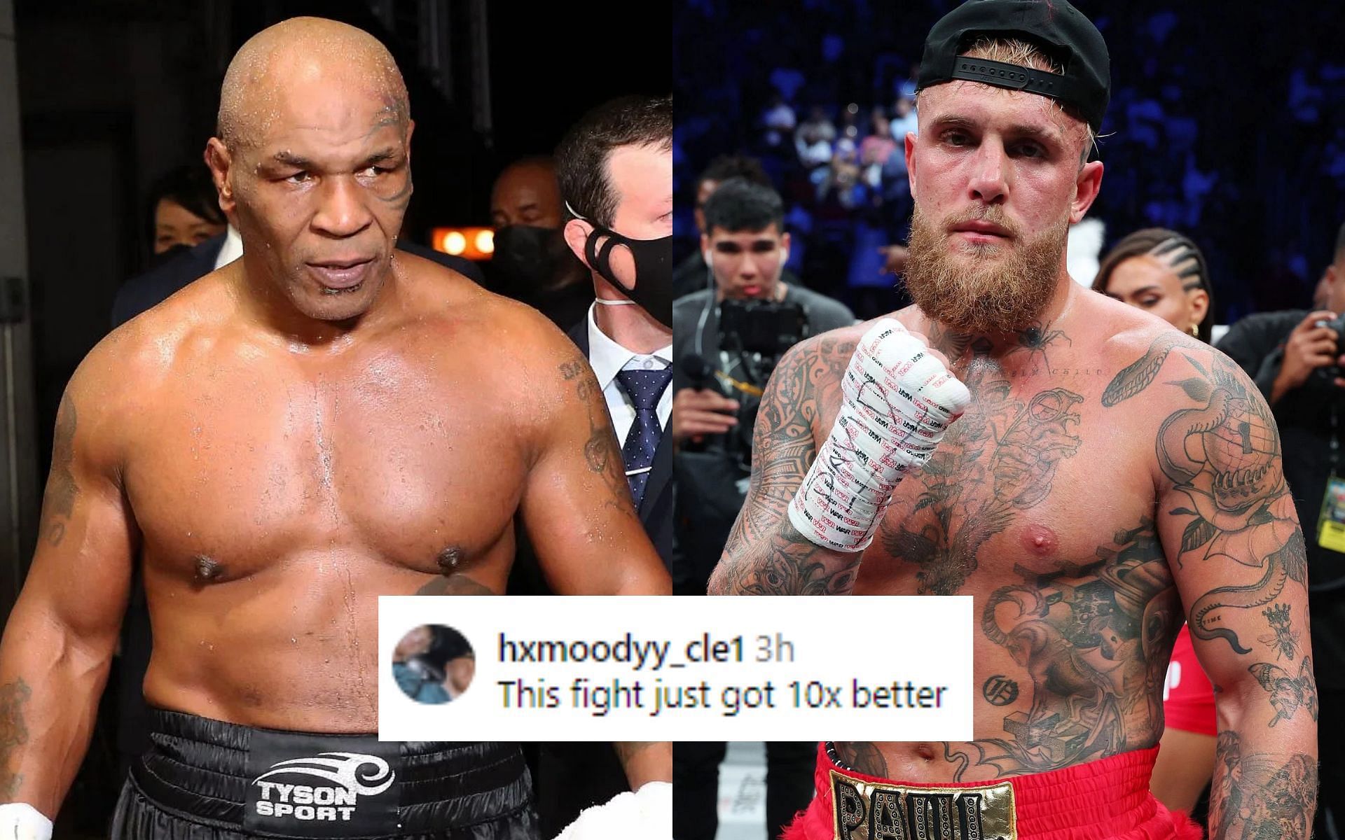 Fans are split over Jake Paul vs. Mike Tyson becoming professional fight [Image courtesy: Getty Images]