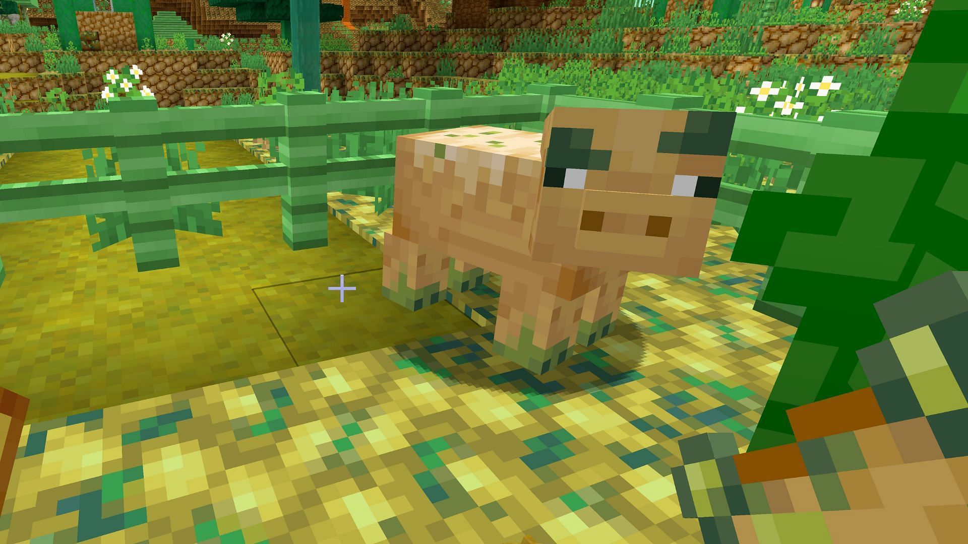 The pig in Potato dimension (Image via Mojang Studios)