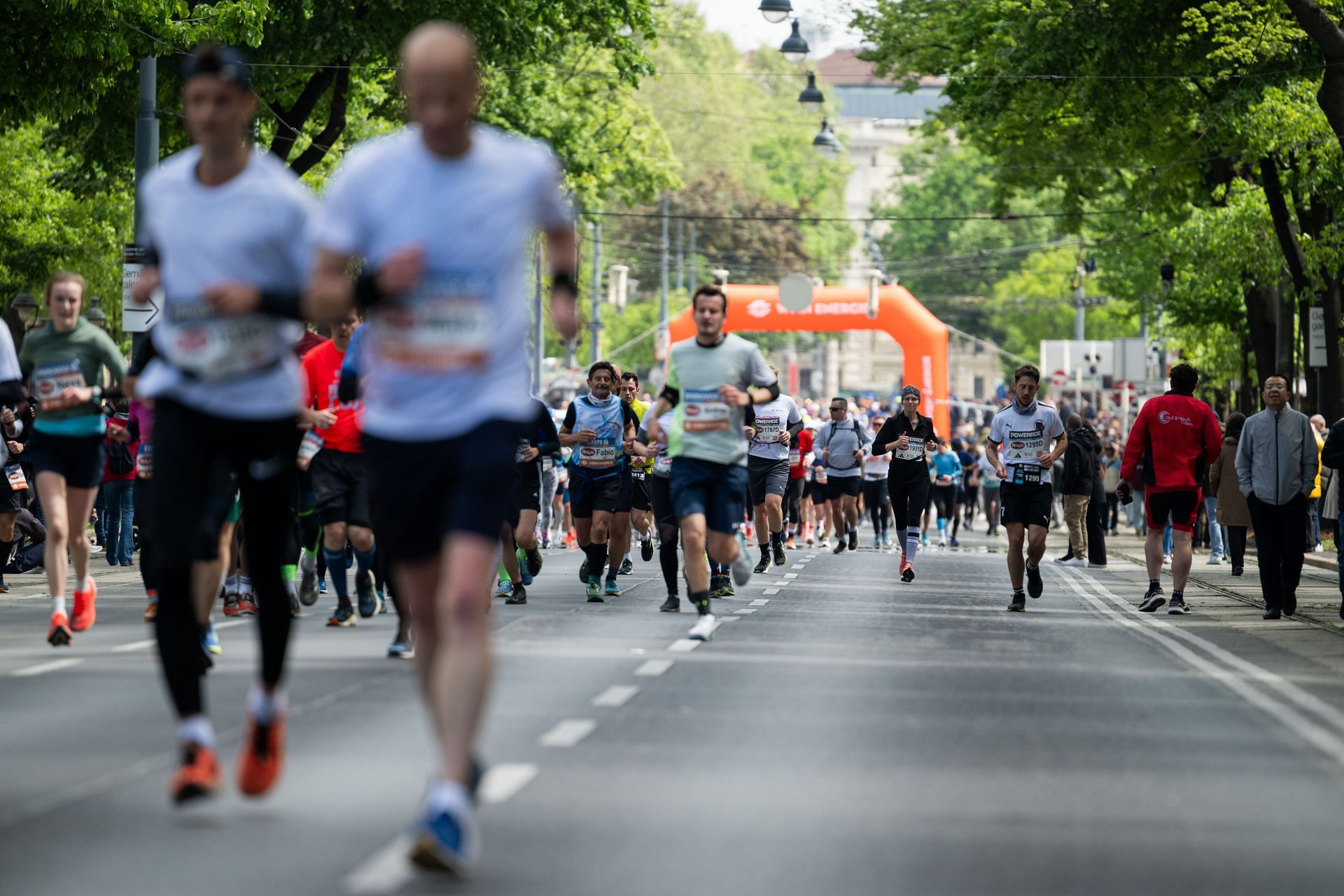 Vienna City Marathon 2024