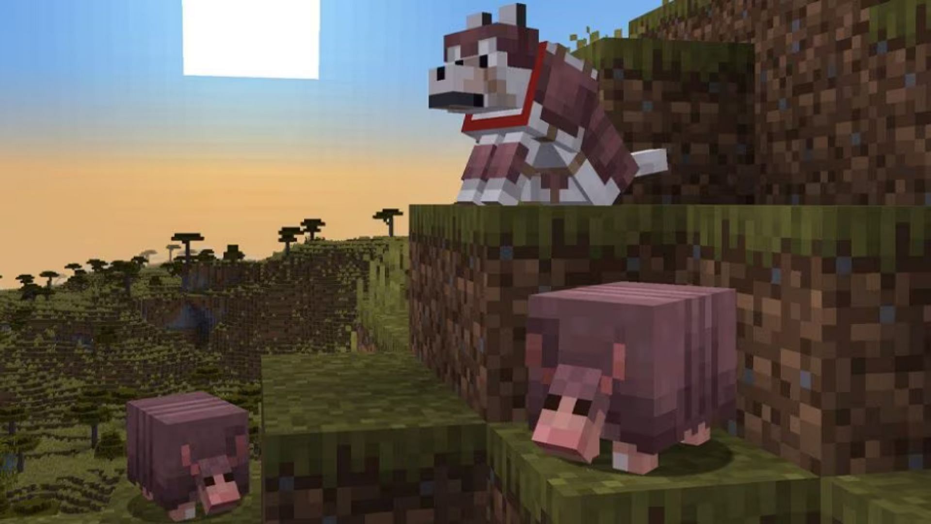 The Wolf and Armadillo in Minecraft (Image via Mojang Studios)