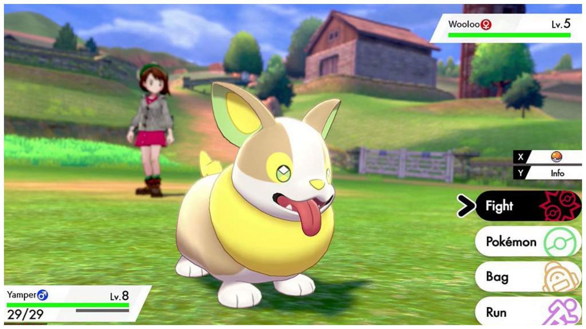 Yamper in Pokemon Sword and Shield (Image via TPC)