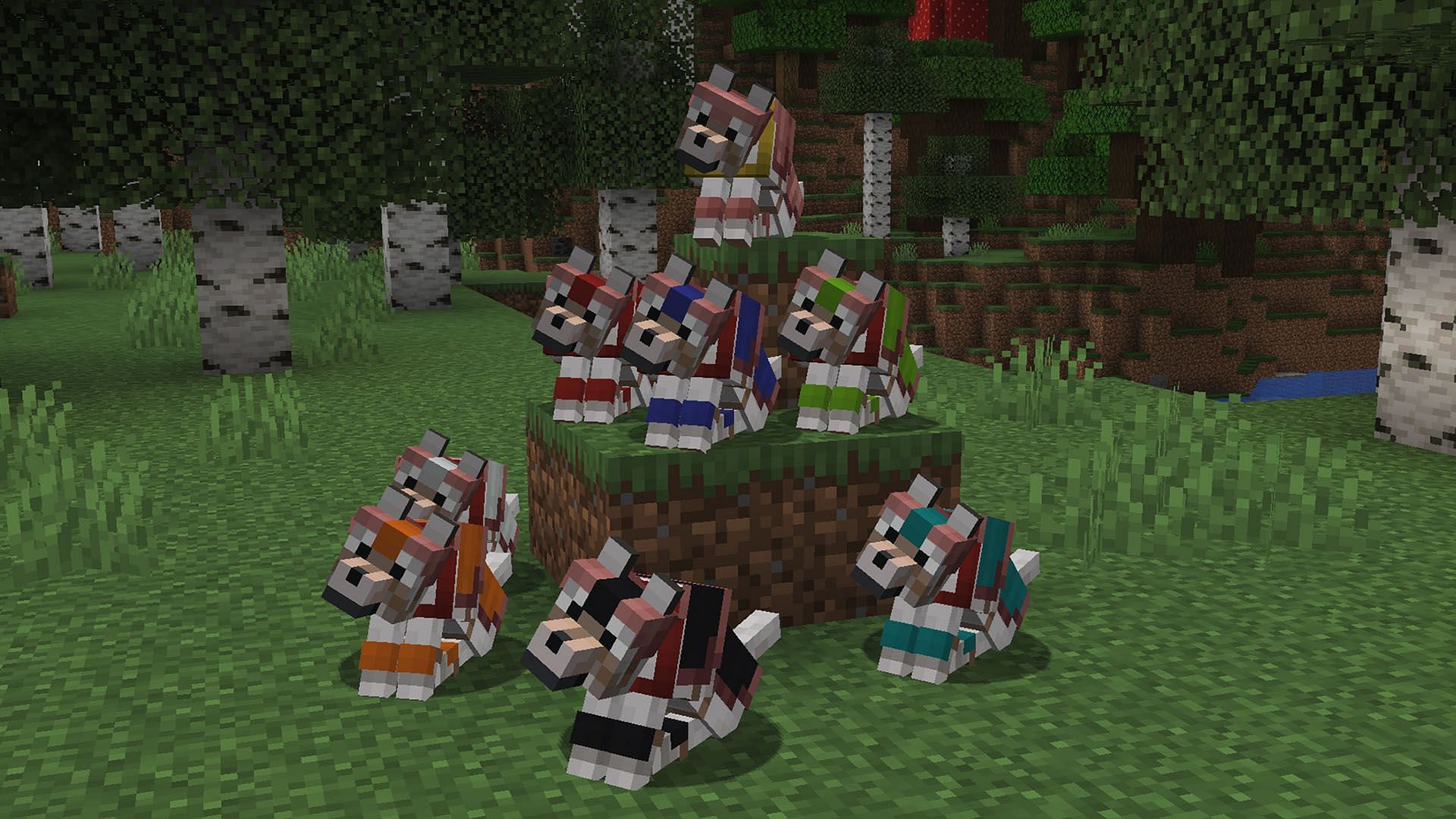 Wolf armor can be dyed for additional customization in the 1.20.5 update (Image via Mojang)