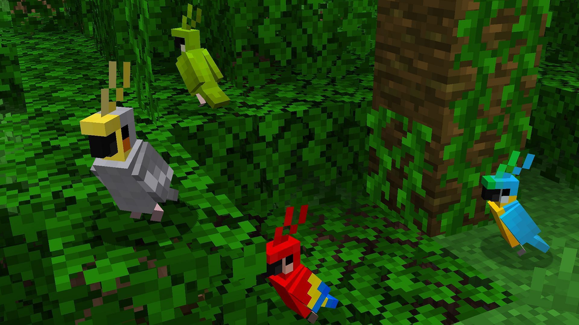 If baby parrots won&#039;t ever be added, Mojang should consider changing the name of the advancement (Image via Mojang)