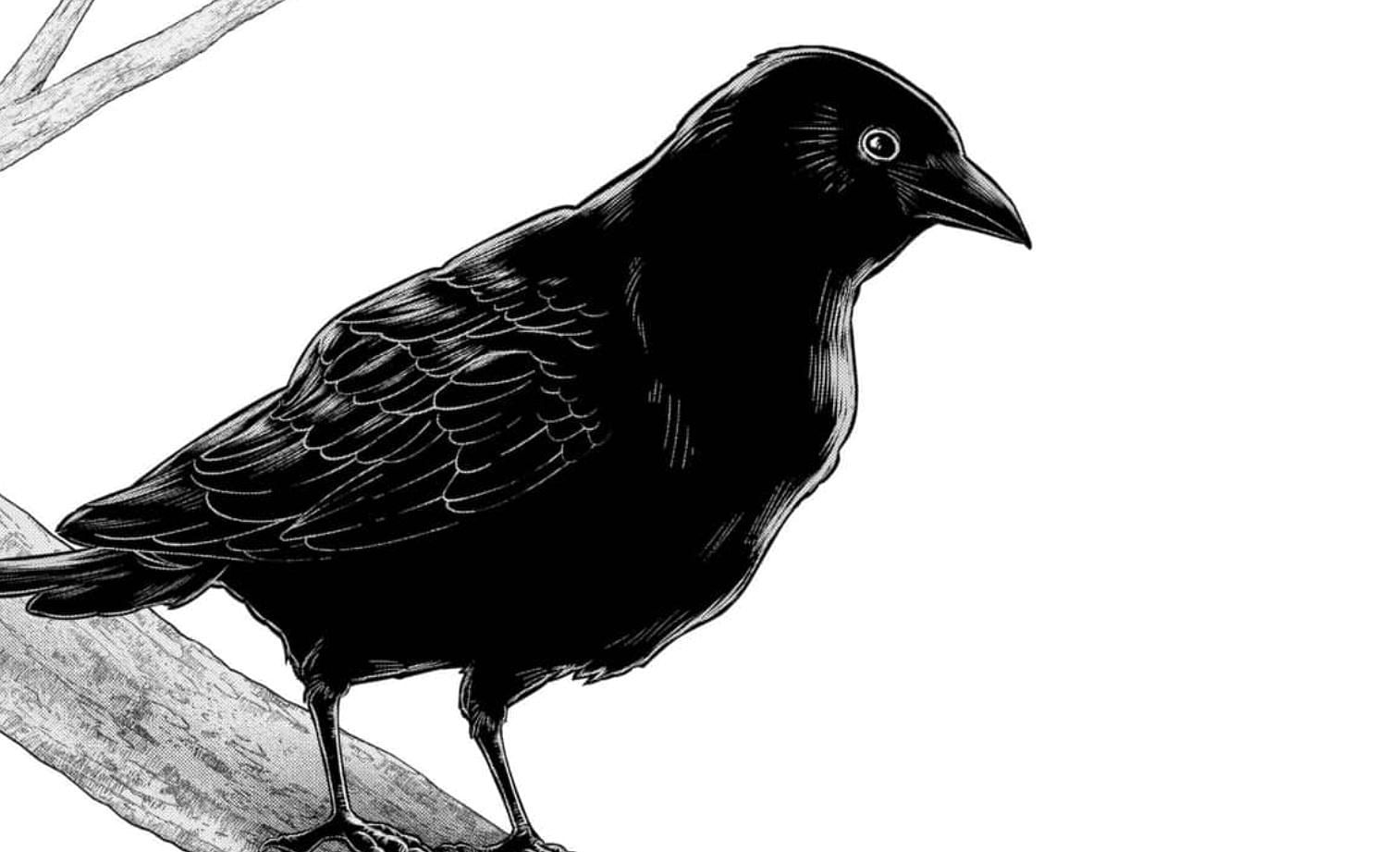 Tsukuyomi in her crow form (Image via Shueisha)