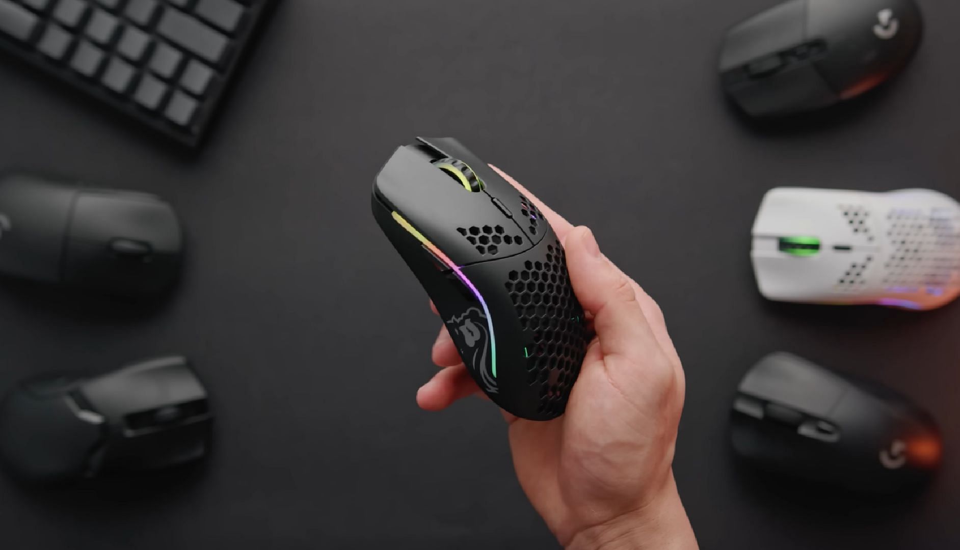Picture of a comparison of different mouse
