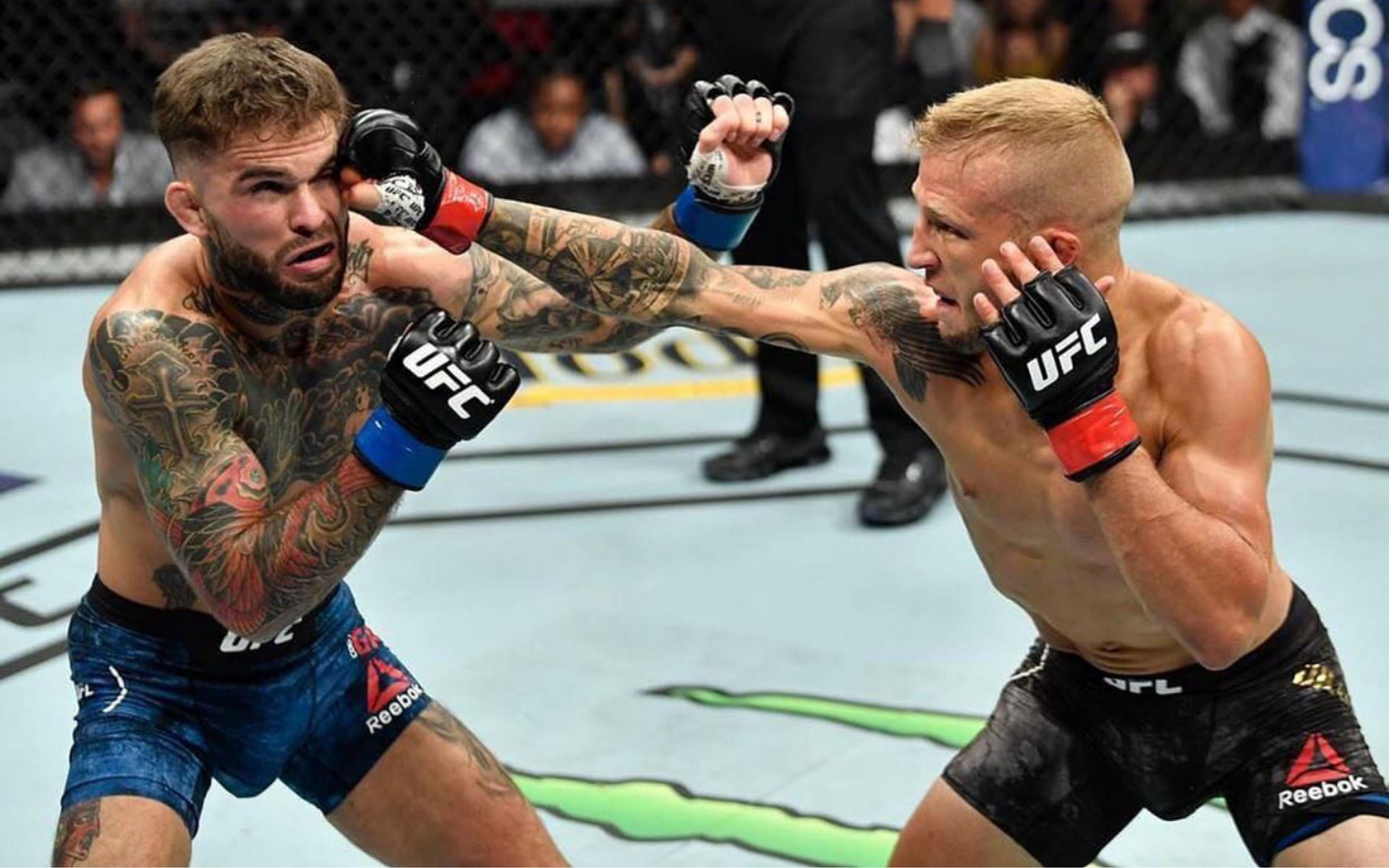 TJ Dillashaw (right) gave his thoughts on Cody Garbrandt