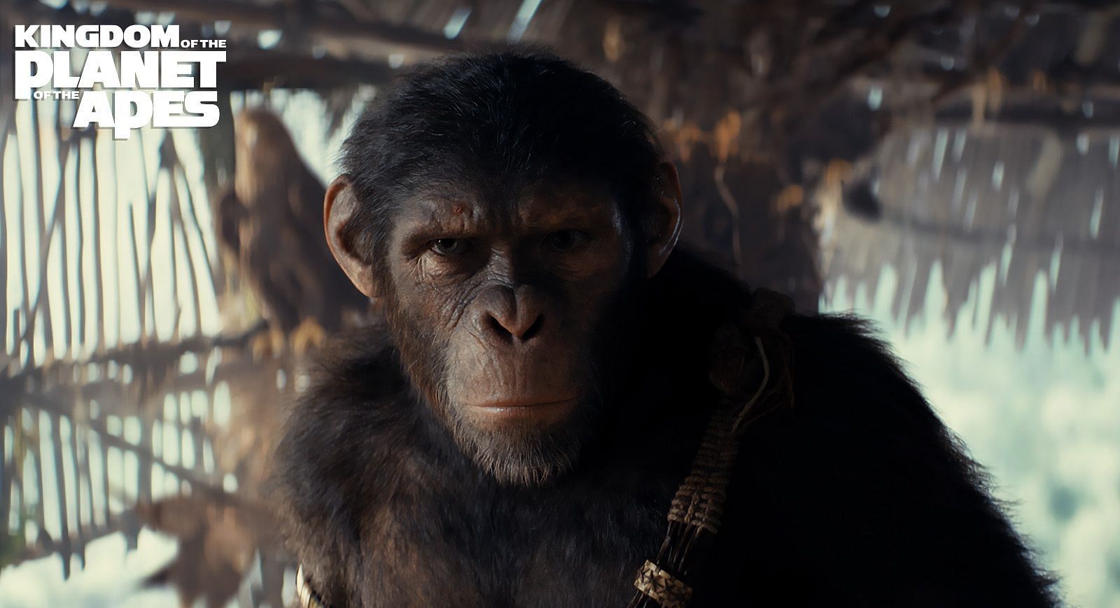 Noa in Kingdom of the Planet of the Apes (Image via @20thCentury on X)