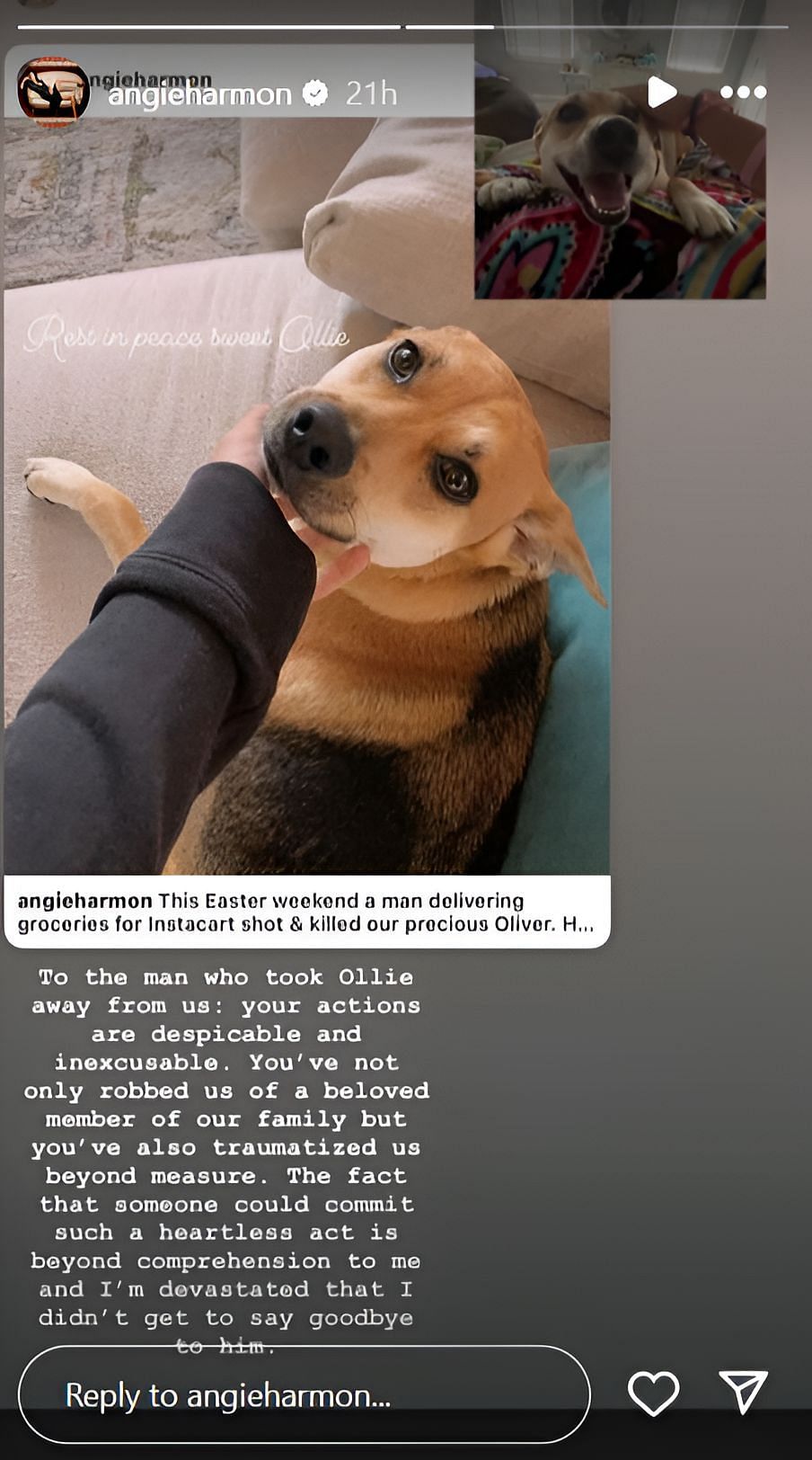Angie Harmon accuses Instacart Deliveryman of killing her dog (Image via @angieharmon/Instagram)