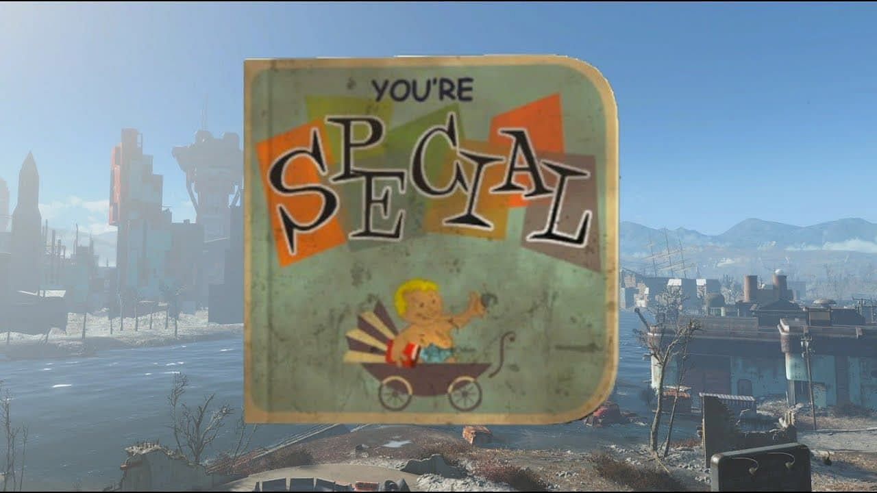 The You&#039;re SPECIAL book can give you one extra point in any stat of your choice (Image via Bethesda Softworks)