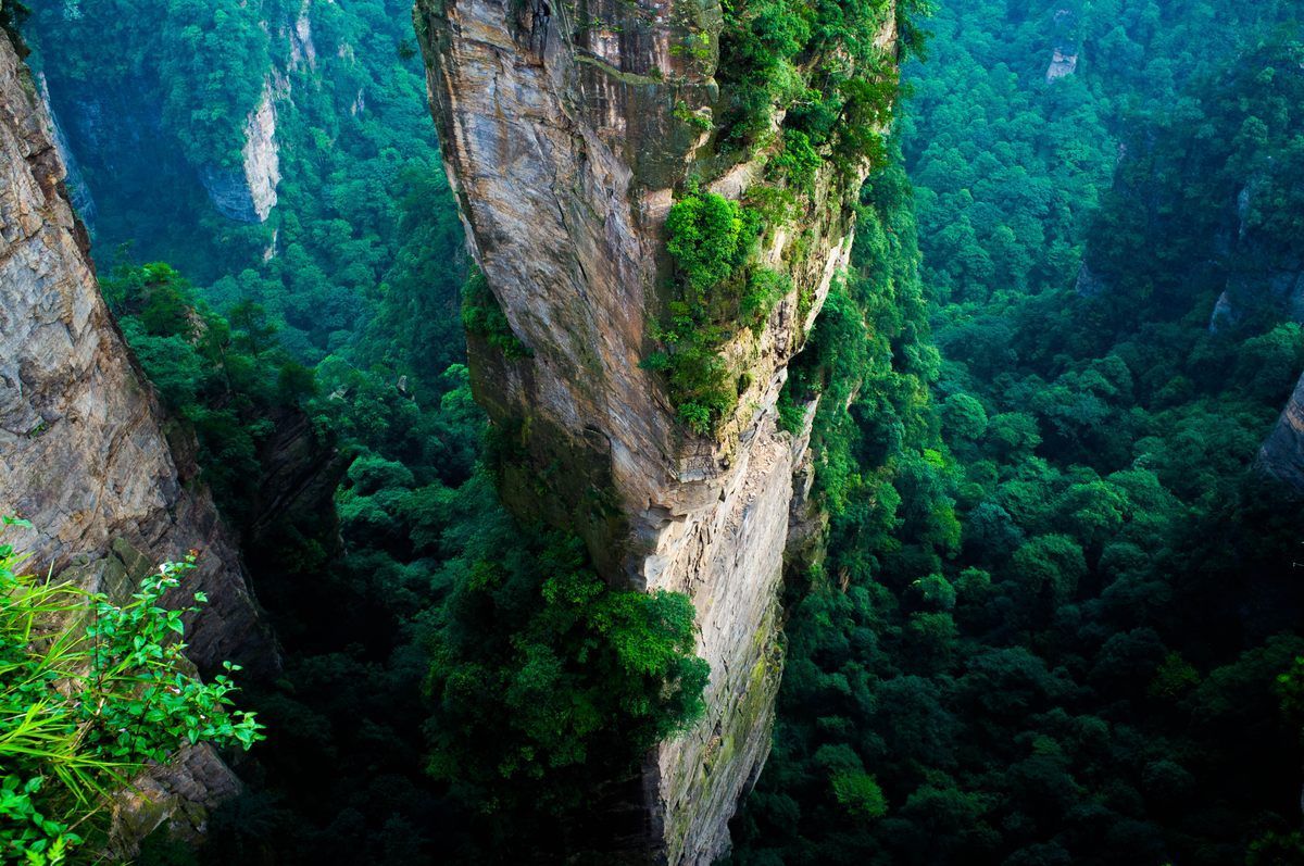 Vertical pillars of Zhangjiajie National Forest Park (Image via Atlas Obscura)