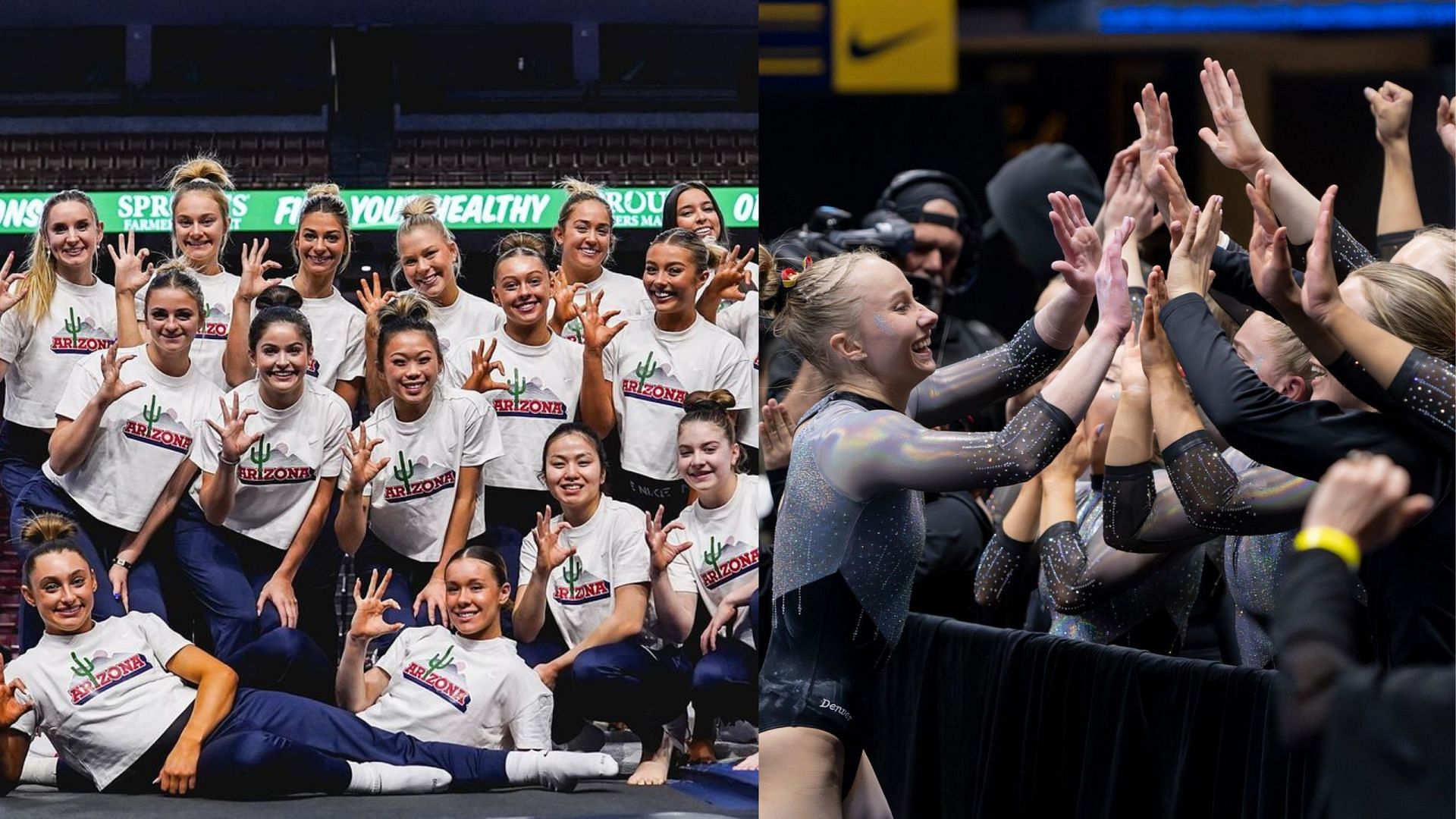 NCAA Women’s Gymnastics Championship 2024 Results Today Arizona and